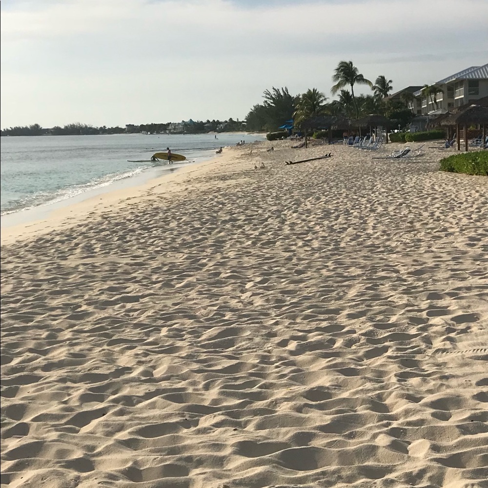 Meet your Posher, Lily